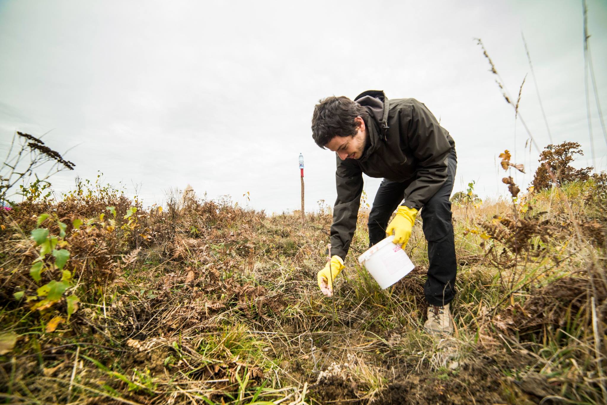 Arpasu Iarna 2016 14